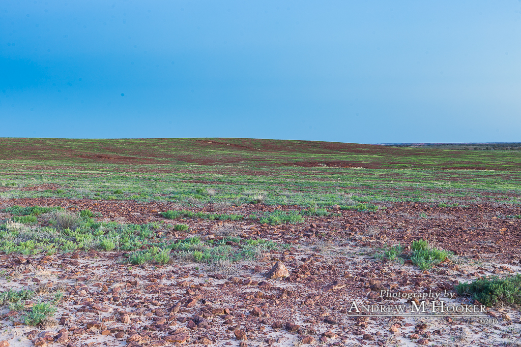 Innamincka Landscape